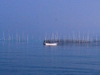 9-new-brunswick-fishing-scene