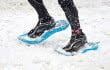snowshoes, ontario, nature, winter, fun