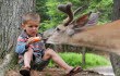 parc-omega-feeding