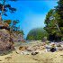 Brady Beach on Vancouver Island. (Julia Pelish/Vacay.ca)