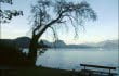 Gibsons, BC. Photo by Robin Elliott