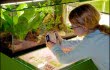 Montreal-Insectarium-with-kids