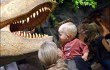 Canadian Museum of Nature
