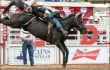 Rodeo Calgary Stampede