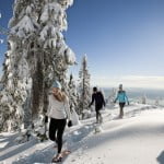 Snowshowers on Grouse Mountain in BC