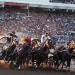 chuckwagon-races-calgary-stampede