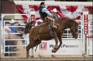 Calgary stampede rodeo