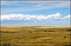 Alberta-prairies