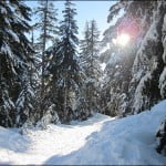 Seymour Mountain snowshoeing trails