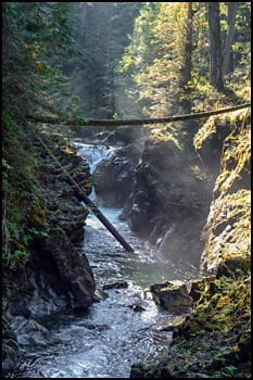 little-qualicum-falls-provincial-park-Parksville-vancouver-island-bc