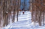 cross-country-skiing-chateau-montebello-quebec