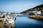 petty-harbour-boats-newfoundland