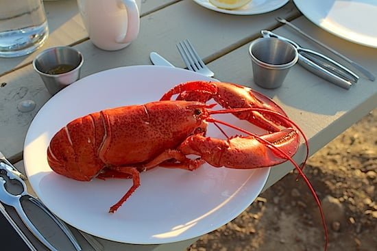 sebastian-lobster-cape-breton