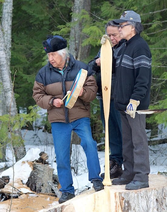 scotch creek elders on stump