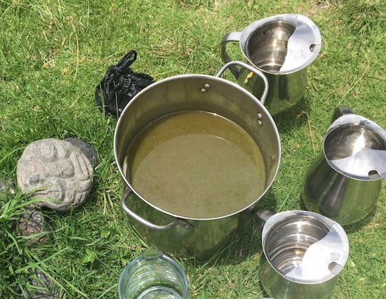 ayahuasca in a bucket gaia sagrada