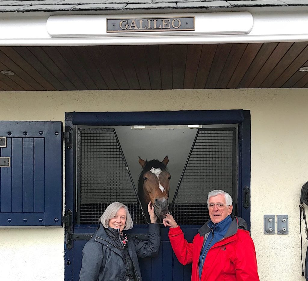 Meeting-Galileo-Ireland-horse