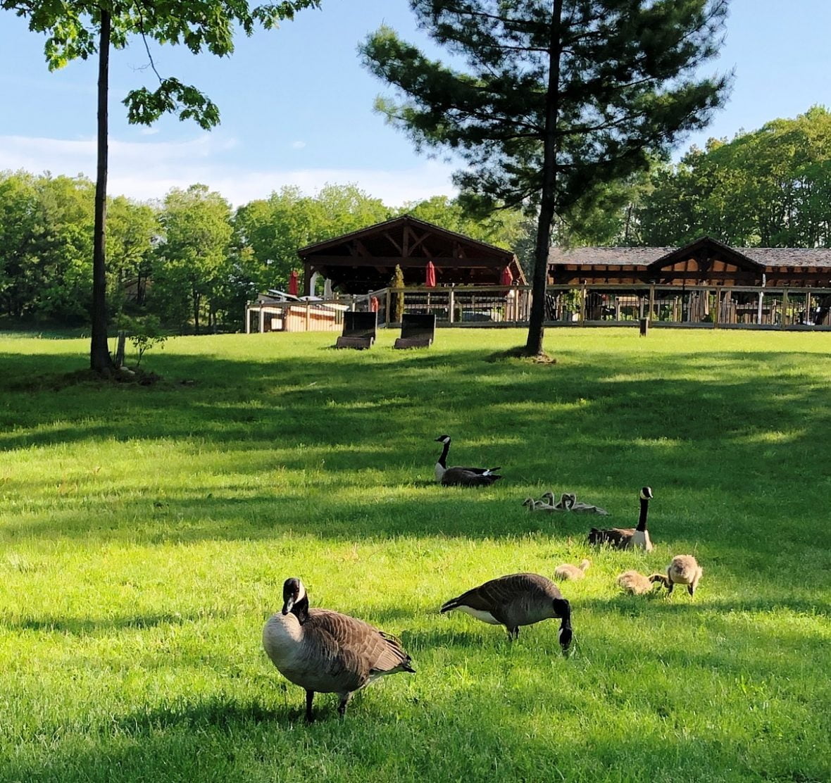 Whispering Springs Wilderness Retreat Glamps It Up Vacay.ca