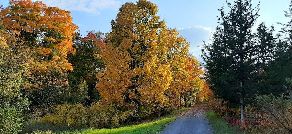 Cataraqui-trail-fall-colours