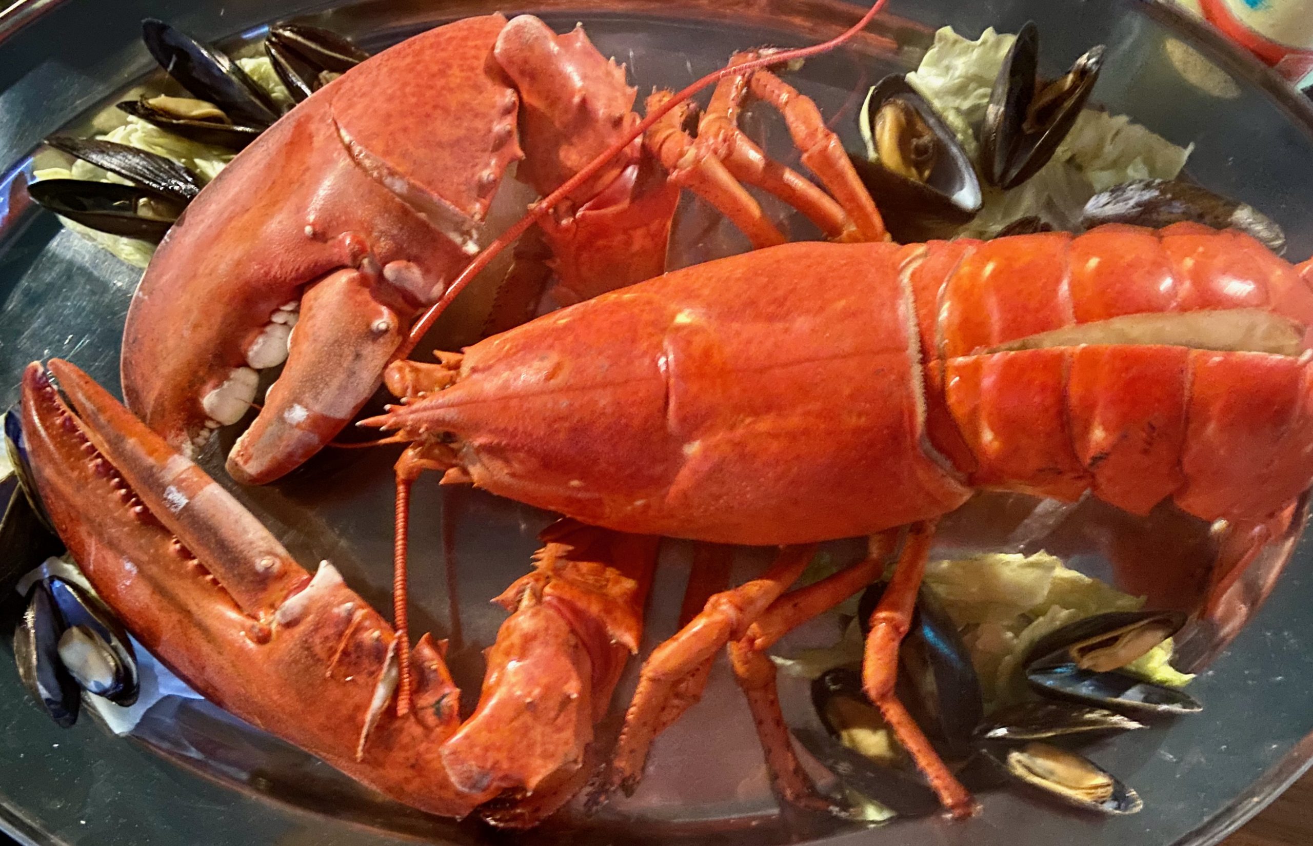 lobster-le-gabriel-cheticamp