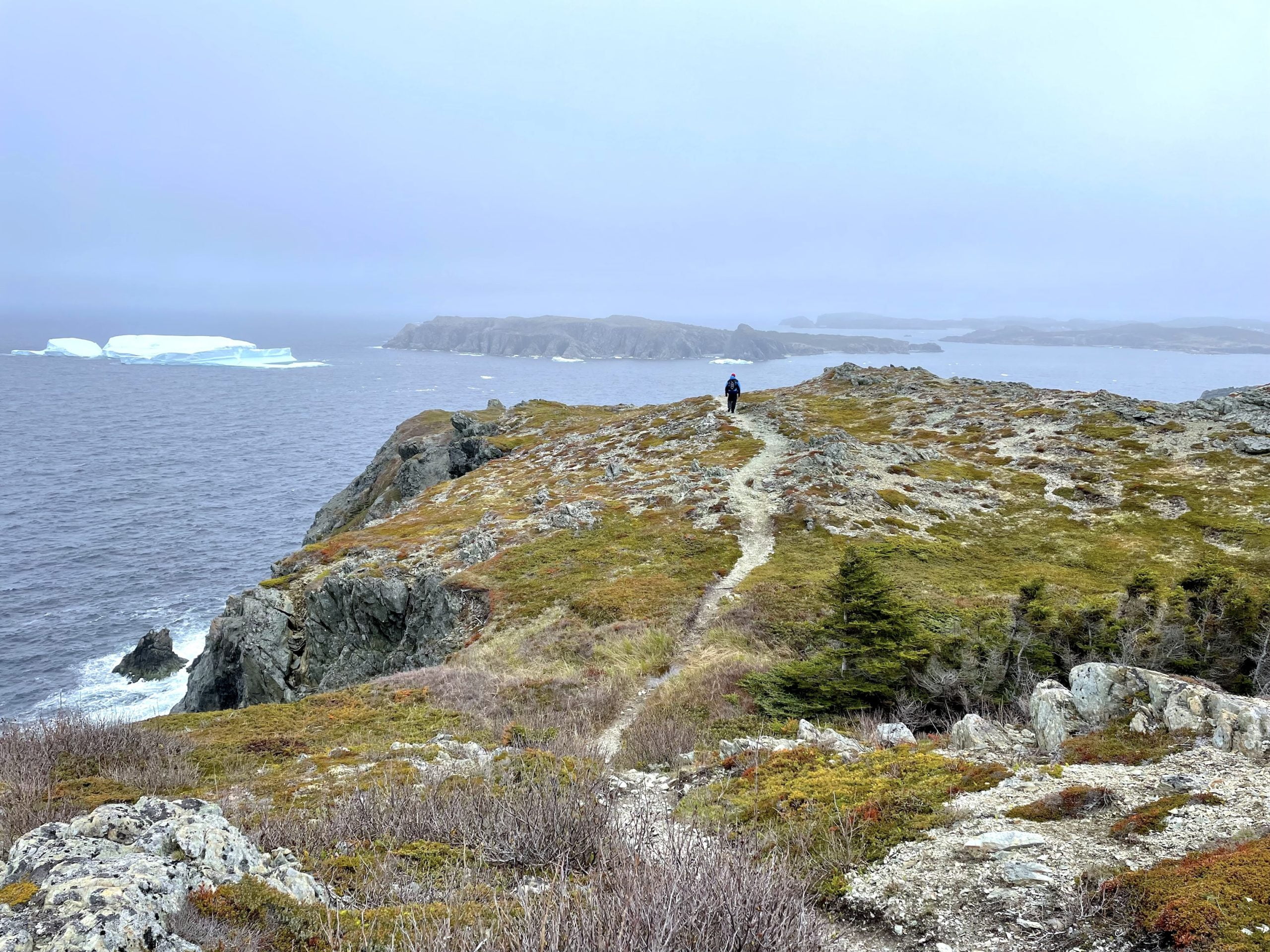 newfoundland-hiking-iceberg-alley