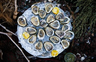 oysters-canadas-food-island