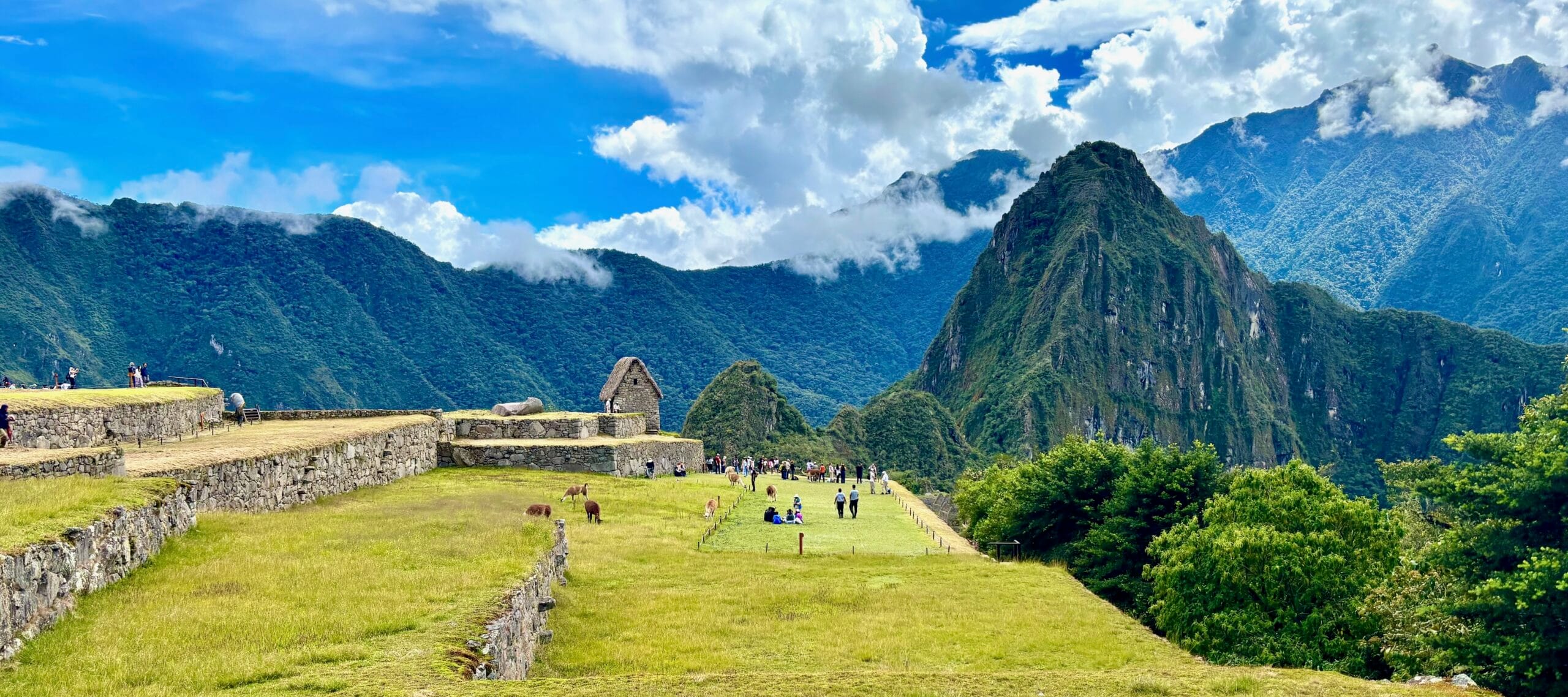machu picchu terrace view