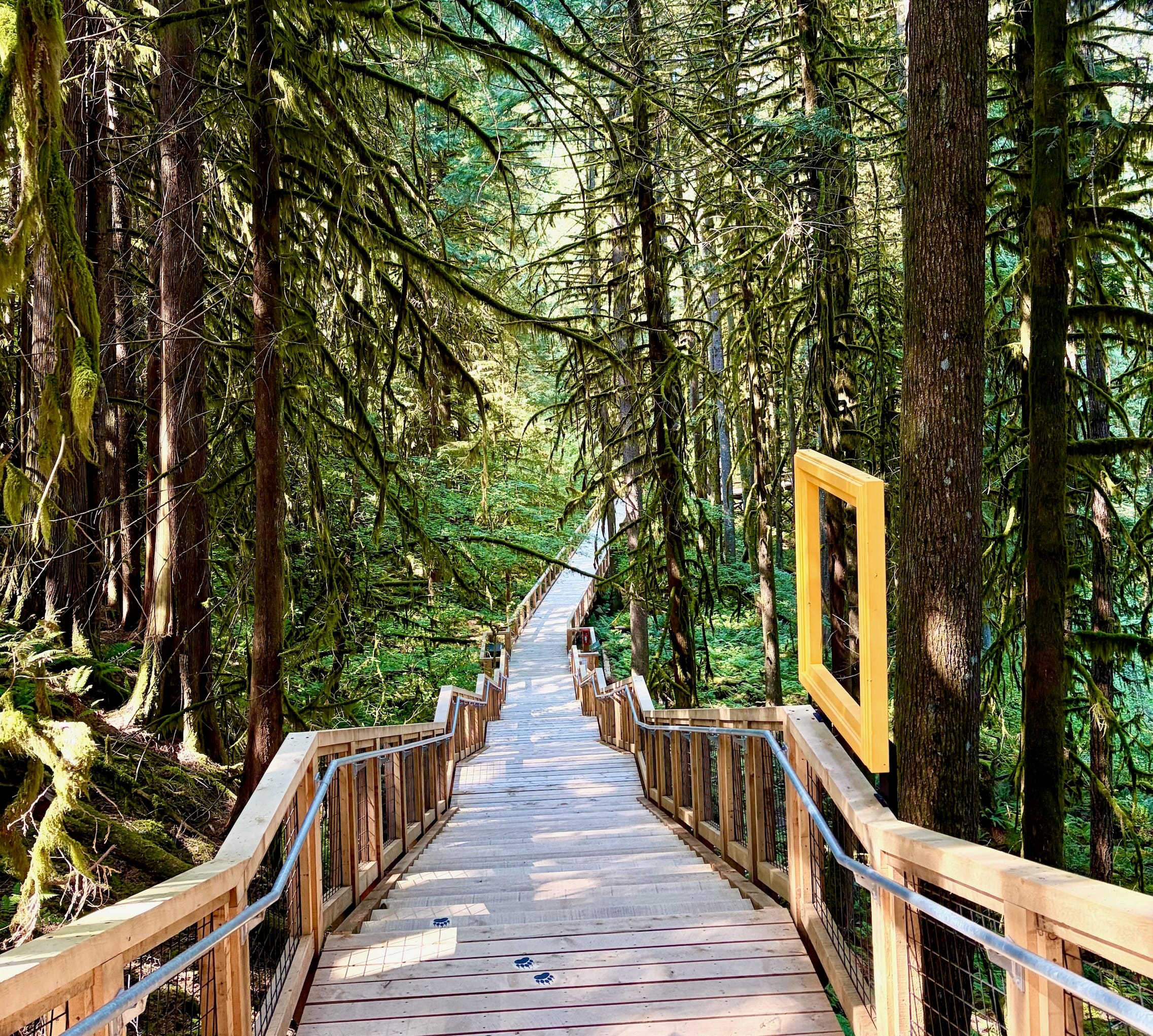 squamish-canyon-boardwalk