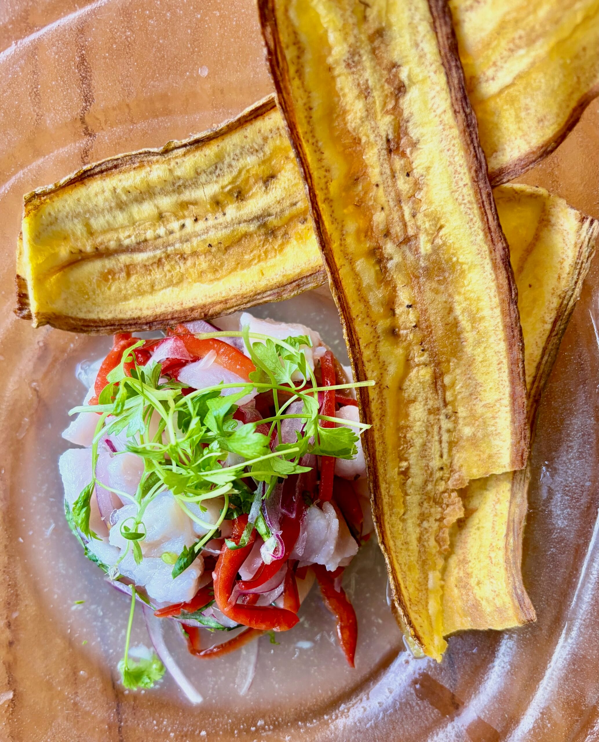 w costa rica ceviche
